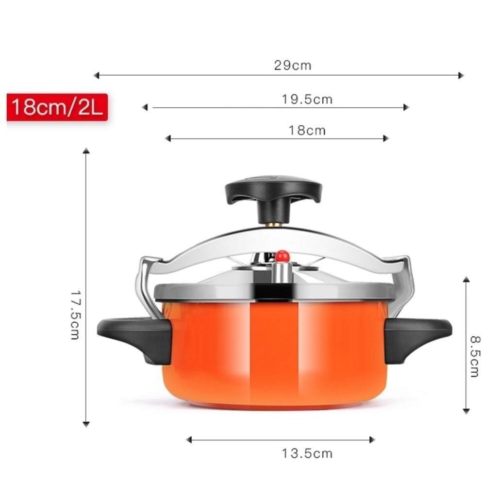 Stainless Steel 2L Pressure Cooker H602018