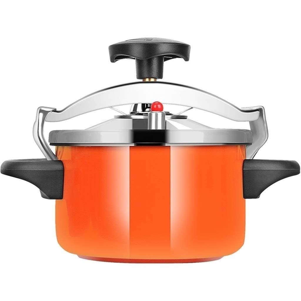 Stainless Steel 2L Pressure Cooker H602018