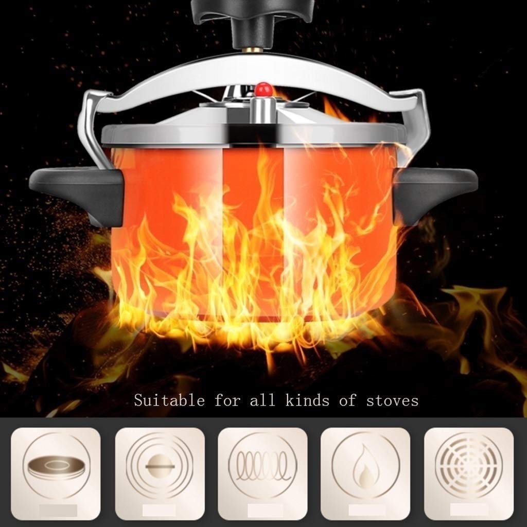 Stainless Steel 2L Pressure Cooker H602018
