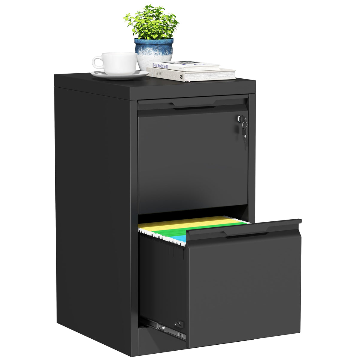2 Drawer Metal File Cabinet with Lock D75693