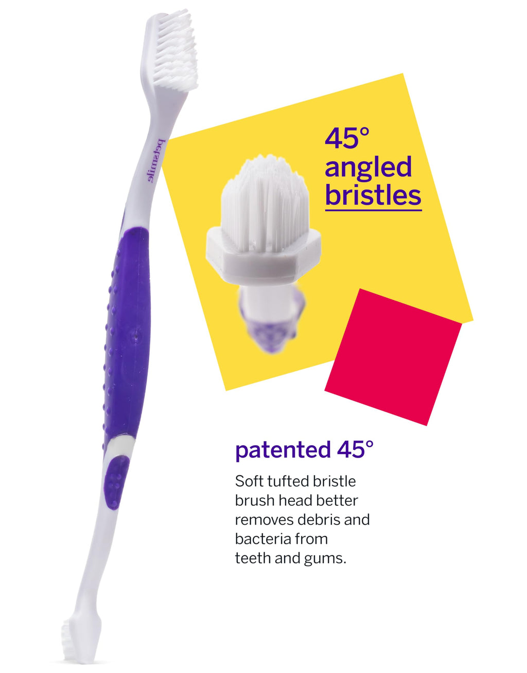 Pet Toothpaste and Brush Kit 2.5 Oz V2176