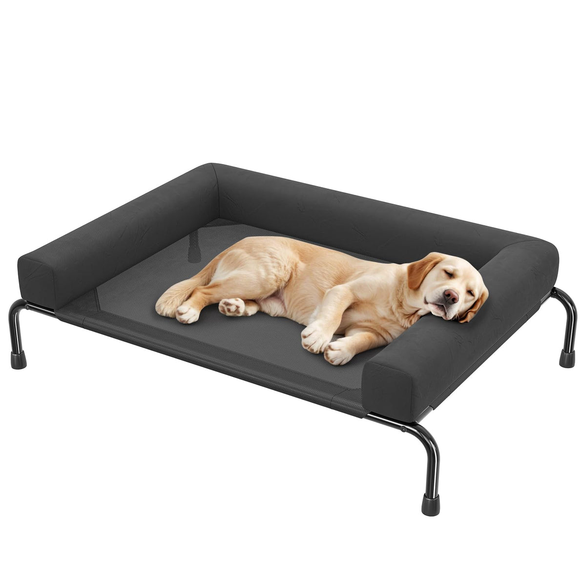 Elevated Dog Bed with Bolsters, Black T9673
