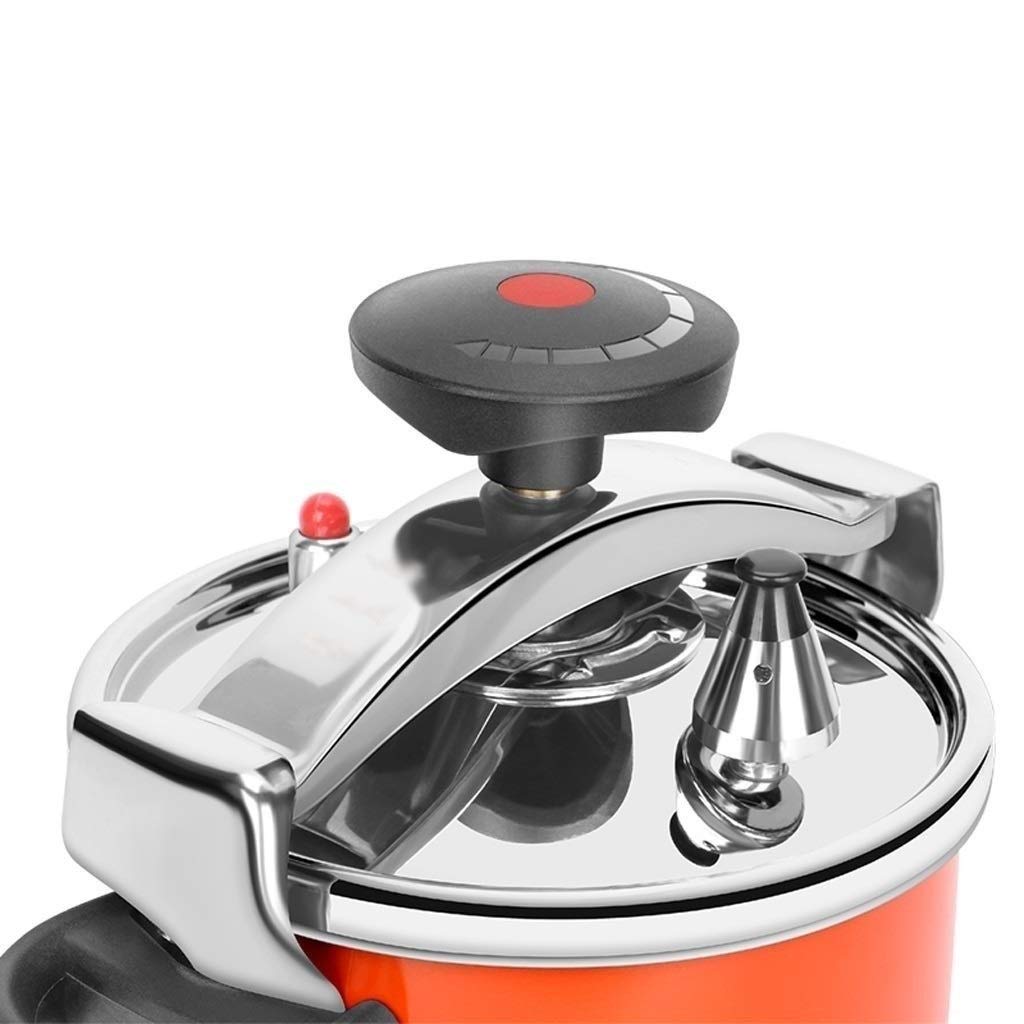 Stainless Steel 2L Pressure Cooker H602018