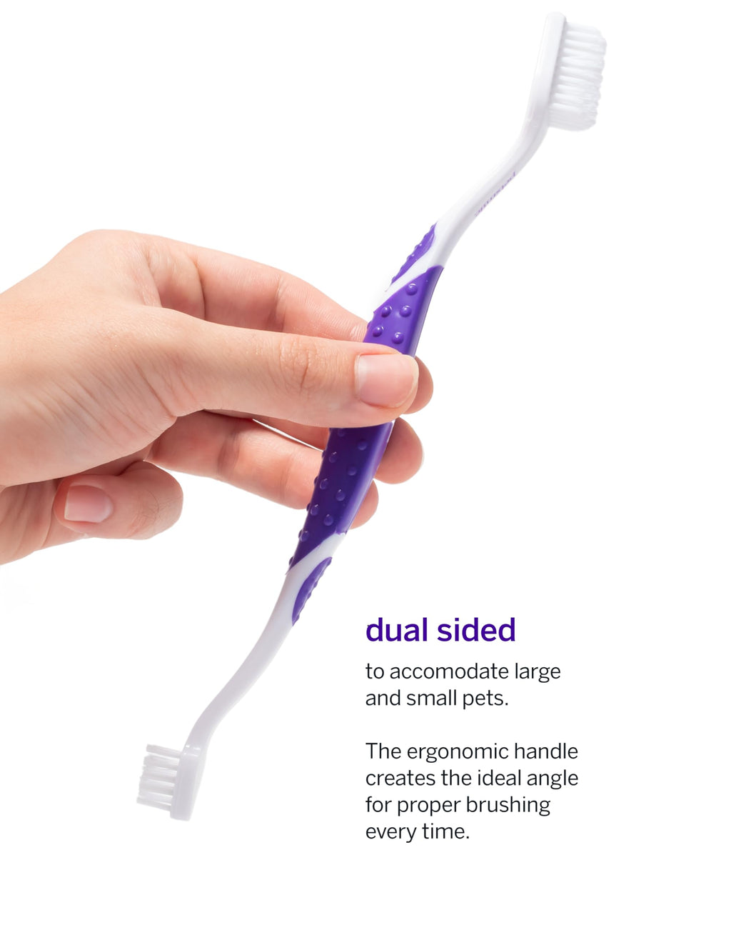 Pet Toothpaste and Brush Kit 2.5 Oz V2176
