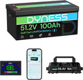 48V 100Ah Lithium Golf Cart Battery with Charger L536
