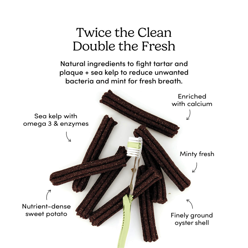 Double Fresh Dental Sticks 9.5oz Z863348