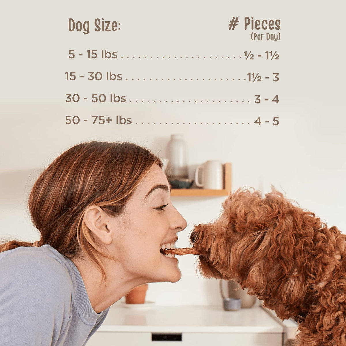 All Natural Human Grade Dog Treats Beef Savory Sticks 22 Ounce D217
