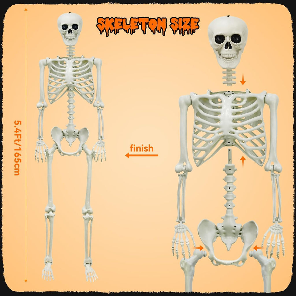 5.4Ft Posable Skeleton K10343