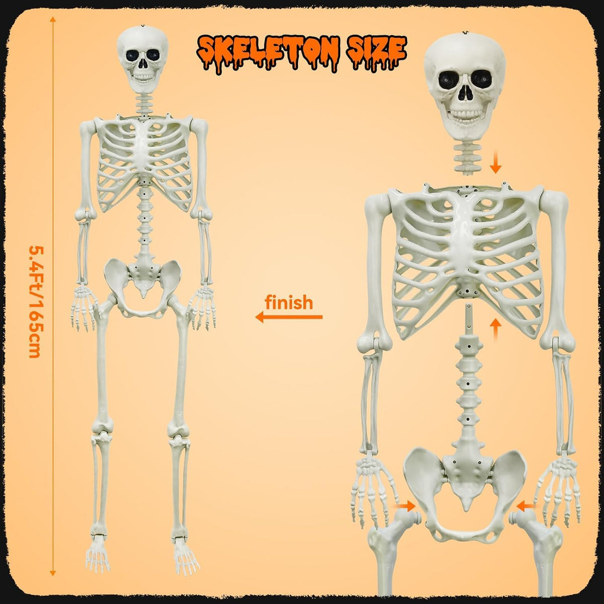 5.4Ft Posable Skeleton K10343