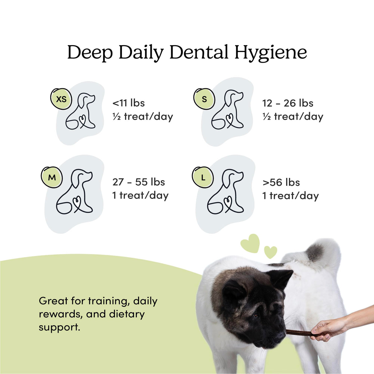 Double Fresh Dental Sticks 9.5oz Z863348