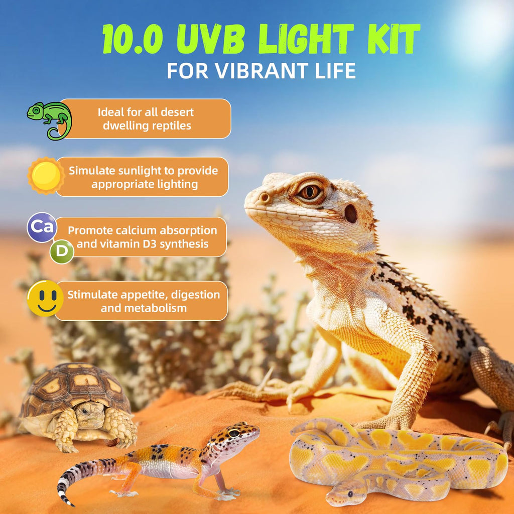 24W 10.0 T5 UVB Reptile Light Fixture Combo Kit 22inch Terrarium Hood N3062