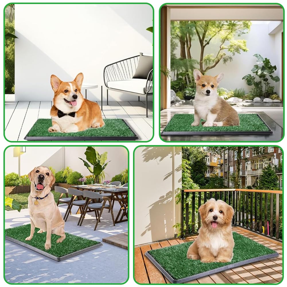 Reusable Pet Grass Potty with 2-Pack Replaceable Artificial Grass J214770