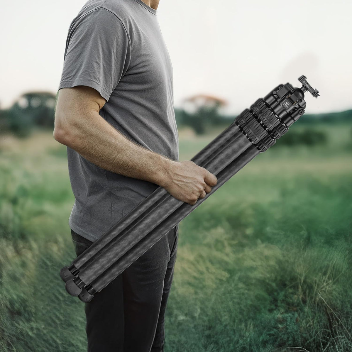 Carbon Fiber Tripod with BallHead and Quick Release Plate P96601