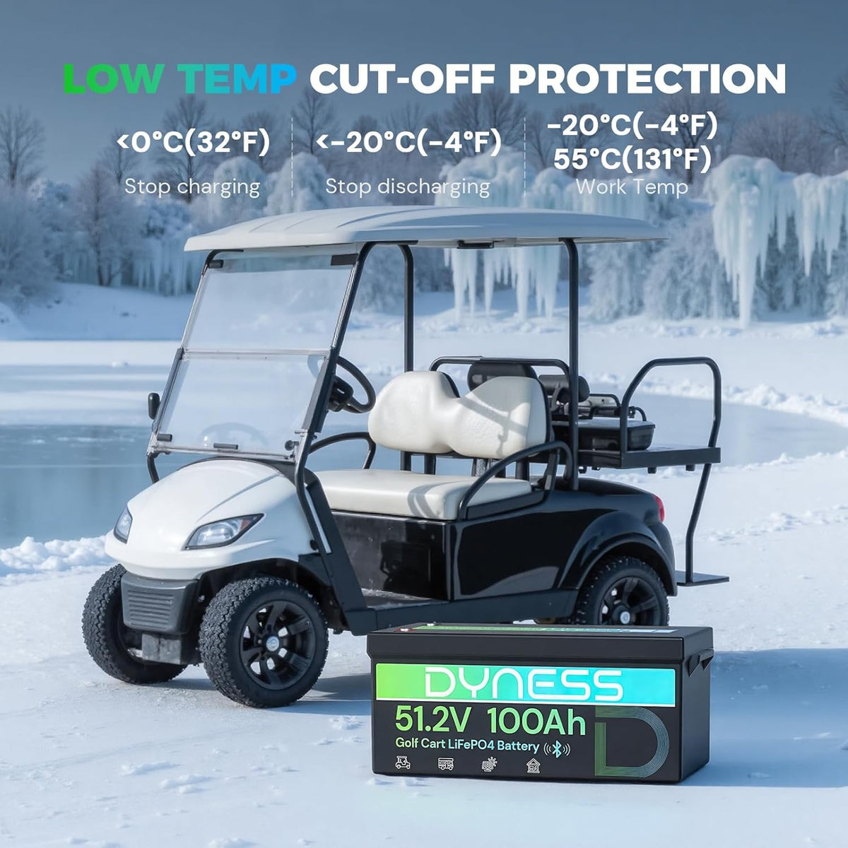 48V 100Ah Lithium Golf Cart Battery with Charger L536