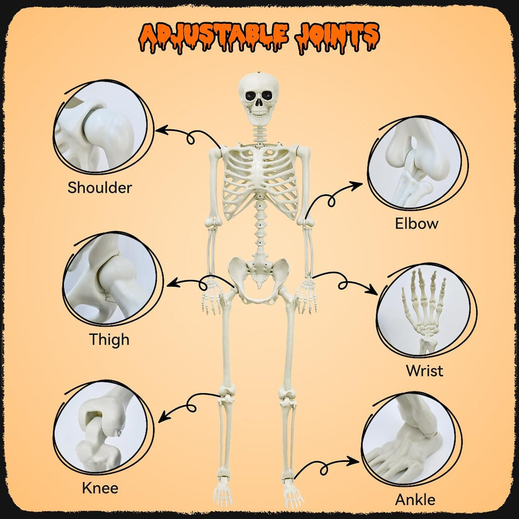 5.4Ft Posable Skeleton K10343