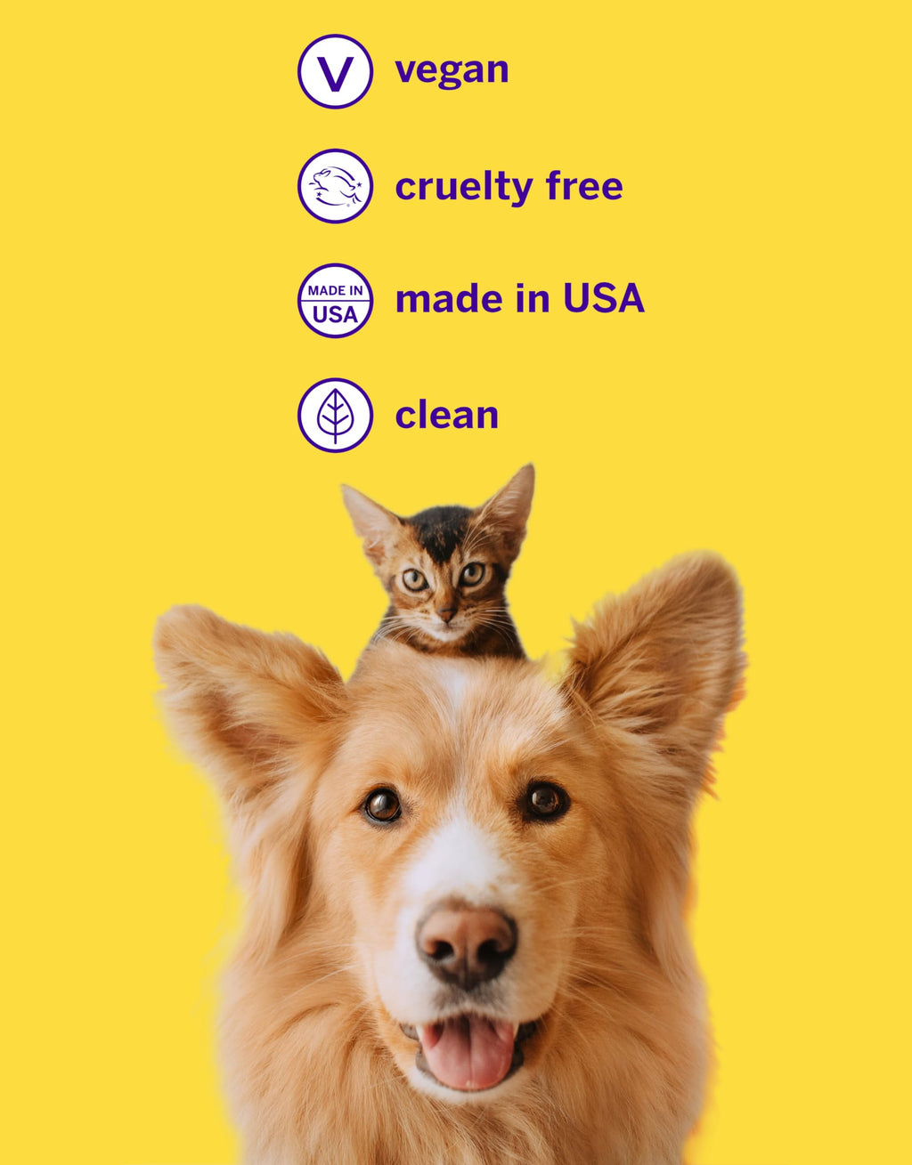 Pet Toothpaste and Brush Kit 2.5 Oz V2176