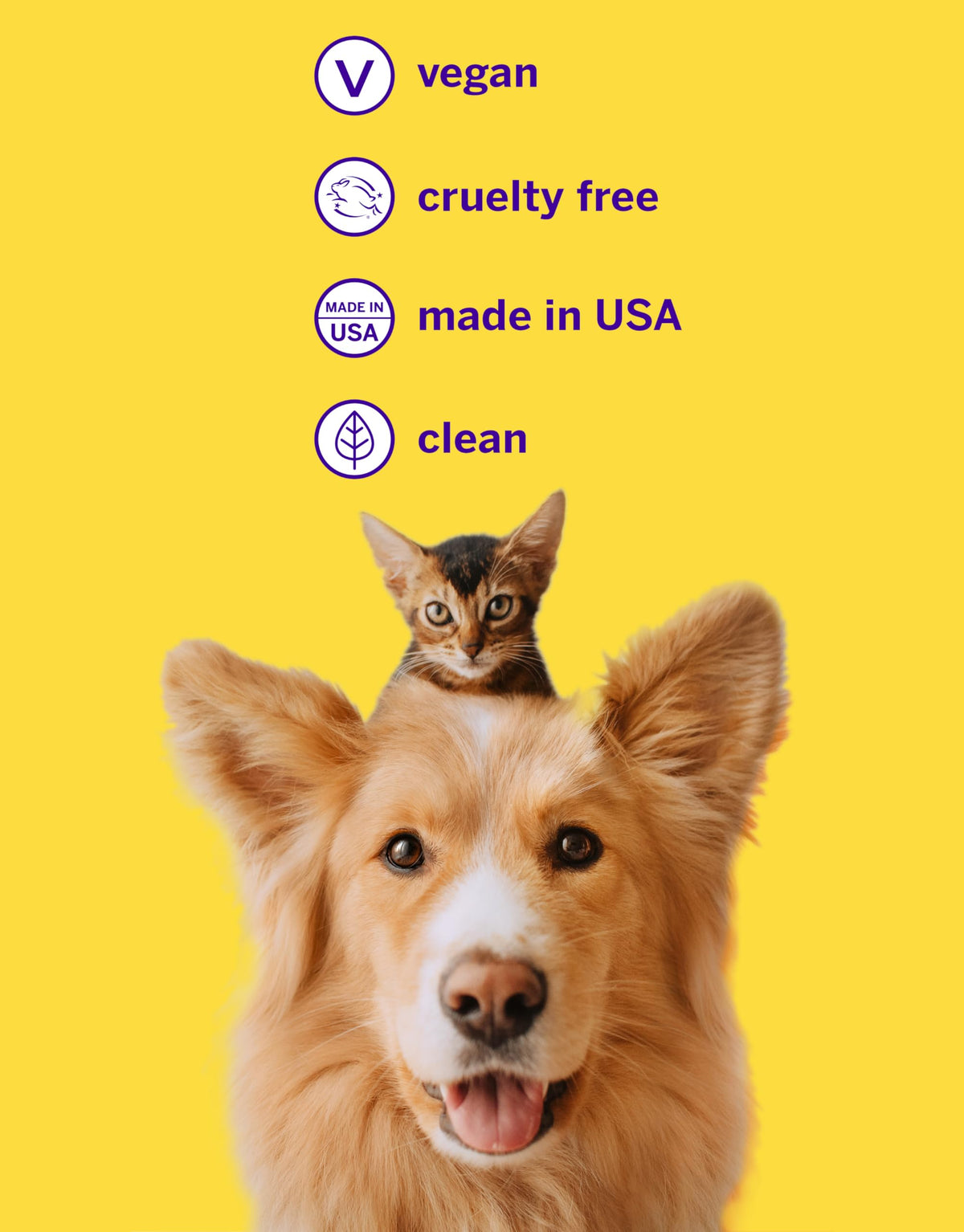 Pet Toothpaste and Brush Kit 2.5 Oz V2176