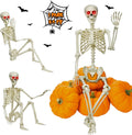 5.4Ft Posable Skeleton K10343