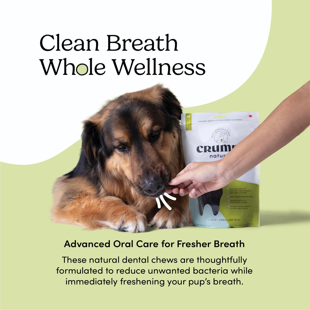 Double Fresh Dental Sticks 9.5oz Z863348