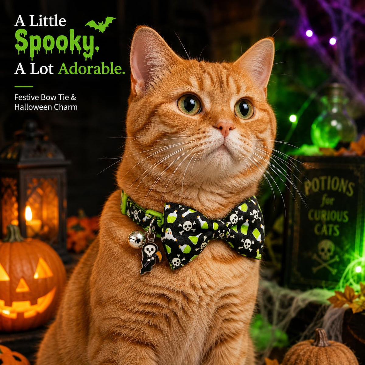 Halloween Cat Collar 2 Pack Adjustable Breakaway V395