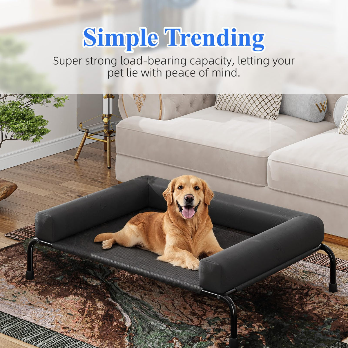 Elevated Dog Bed with Bolsters, Black T9673