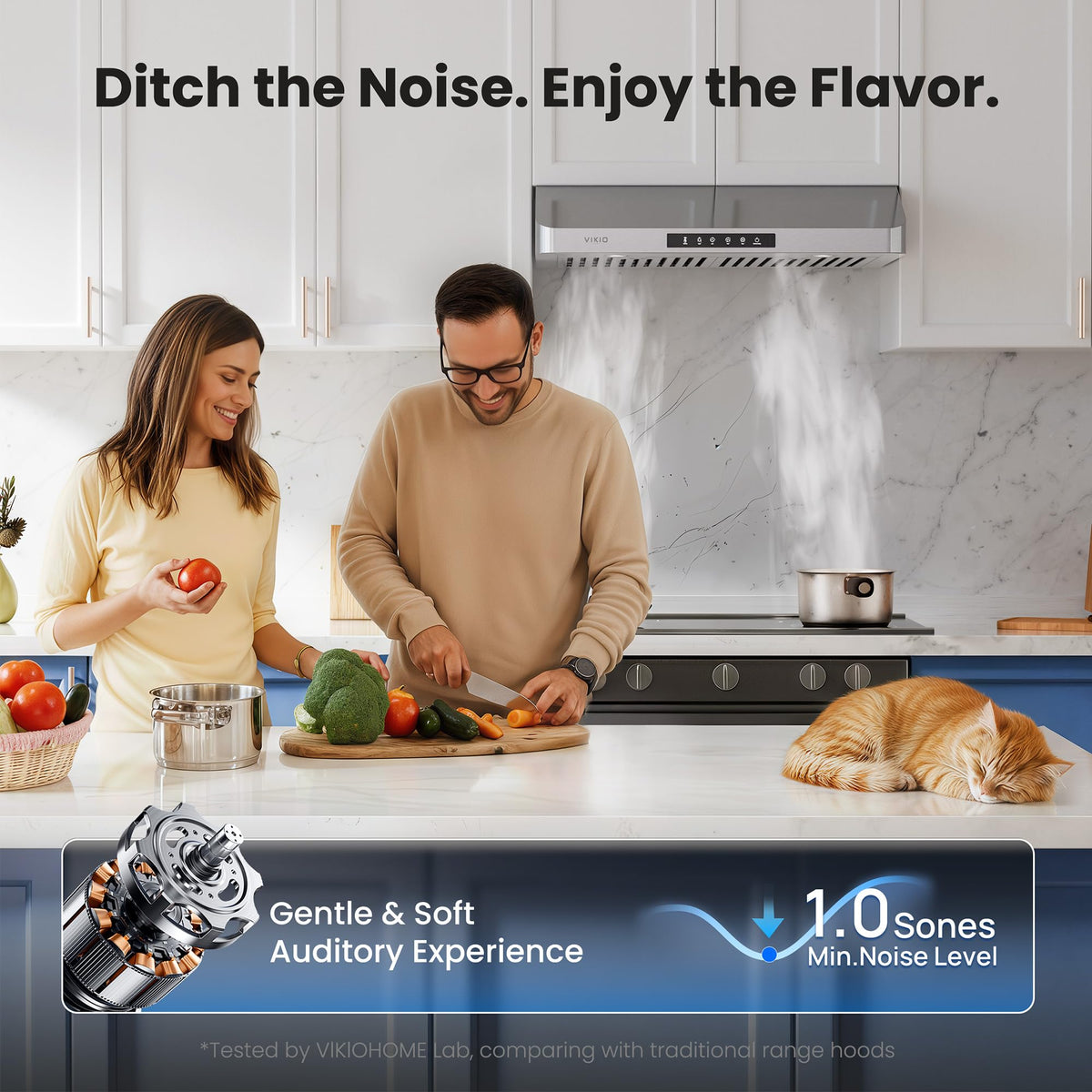 30 Inch Under Cabinet Range Hood R8021