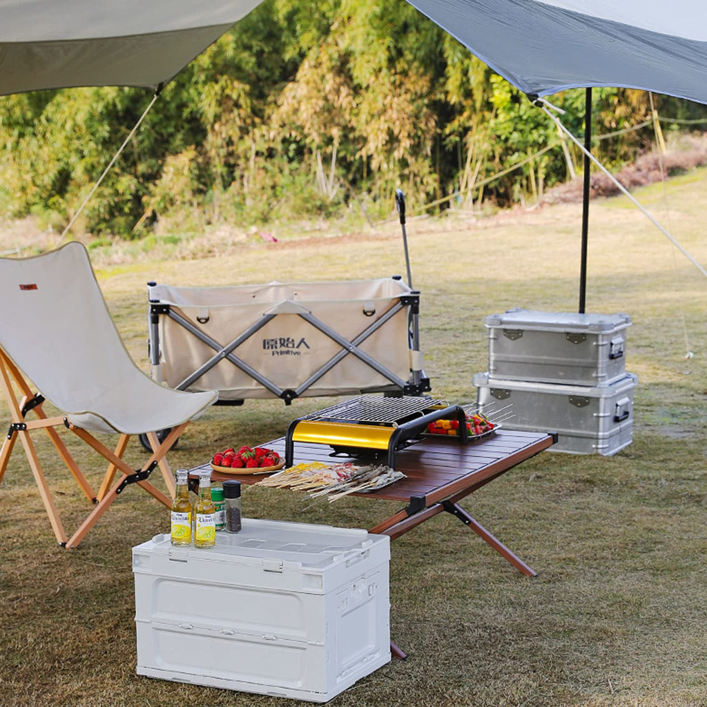 Charcoal BBQ Grill T6617