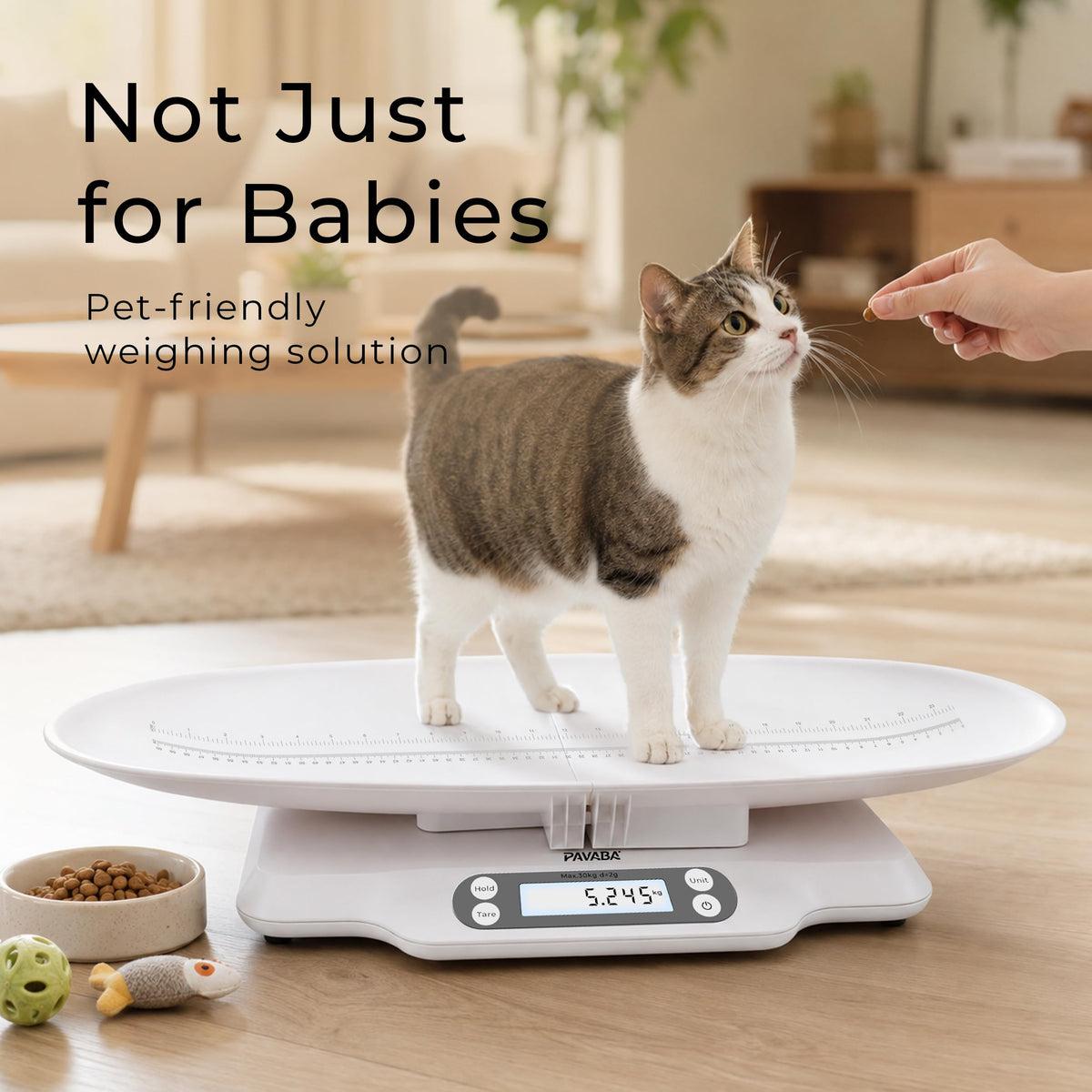 Digital Baby Scale with Removable Tray B557119