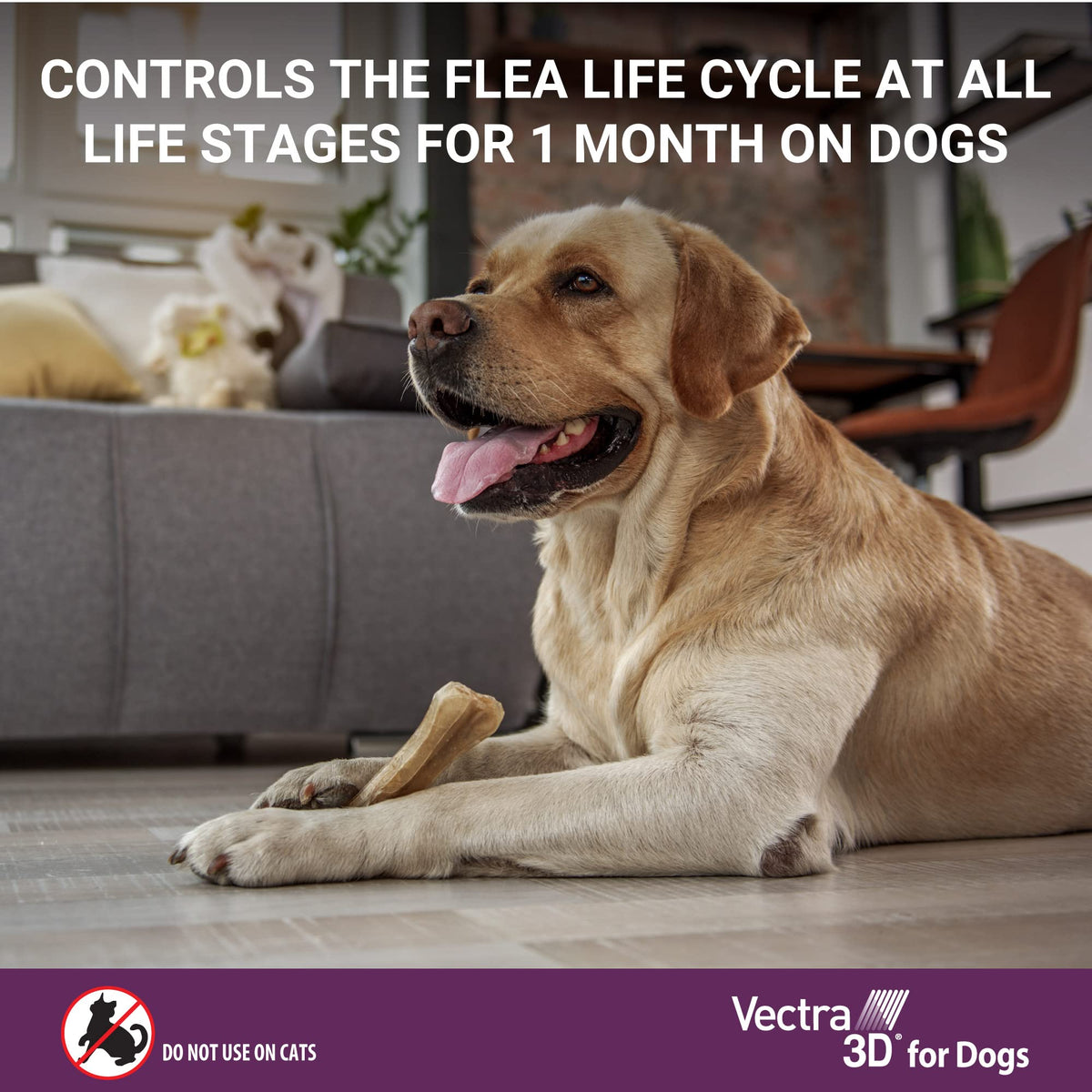 Flea and Tick Prevention for Extra Small Dogs 5-10 lbs G819480