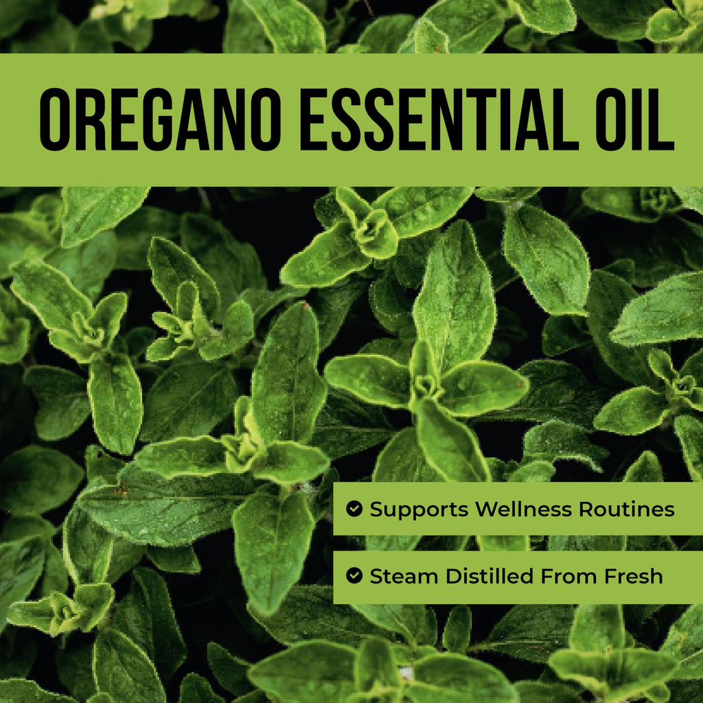 Steam Distilled Oregano Essential Oil 4 Fl Oz O133934