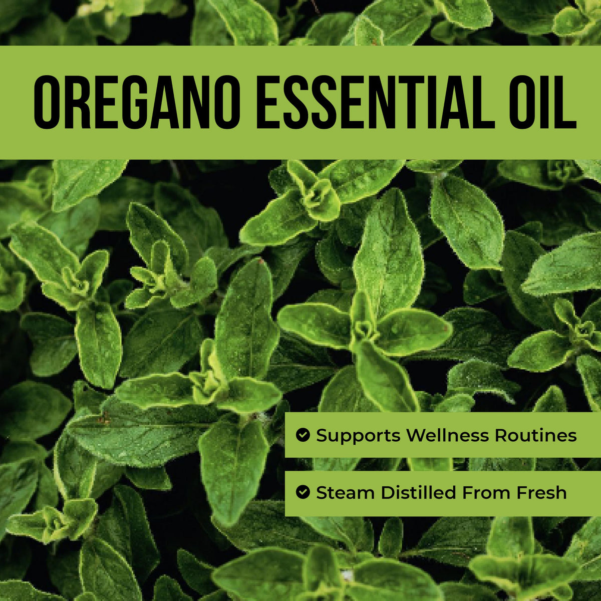Steam Distilled Oregano Essential Oil 4 Fl Oz O133934